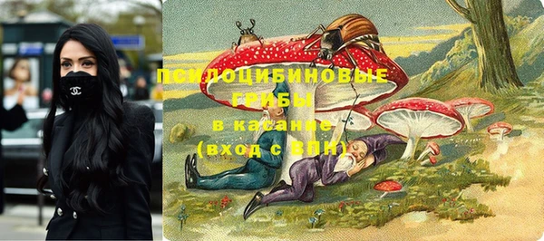 mdpv Заволжск