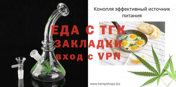 индика Сатка