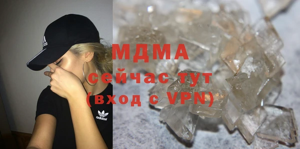 индика Сатка