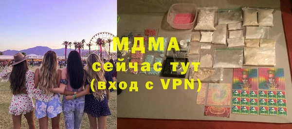 индика Сатка