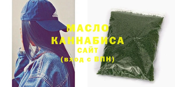 индика Сатка