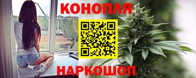 гидра Бийск