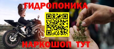 гидра Бийск